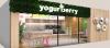 yogurberry-1